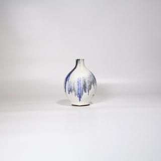 vaseman _ G2blue