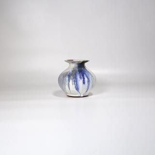 vaseman _ H1blue