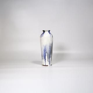 vaseman _ J1blue