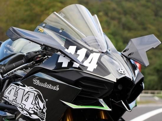 夏・お店屋さん カワサキ Ninja H2 カーボンウィング | www.chezmoiny.com