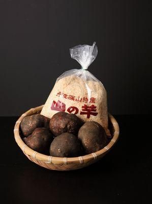 丹波篠山産山の芋1kg | 山の芋の通販 田中正一商店 丹波篠山産山の芋1kg | 山の芋の通販 田中正一商店
