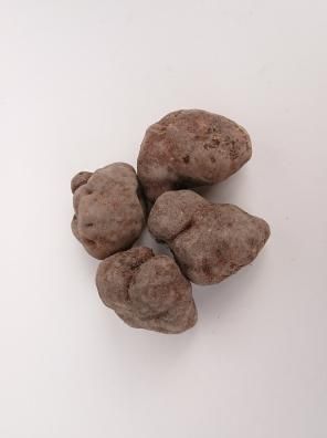 丹波篠山産 山の芋 - 優(良品)ご家庭用・加工用 - 田中正一 丹波篠山産 山の芋 - 優(良品)ご家庭用・加工用 - 田中正一