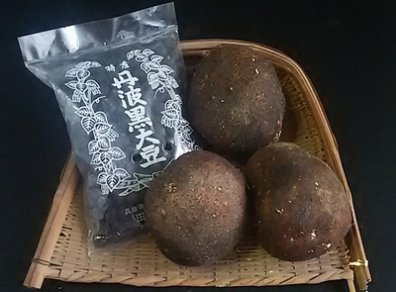 《12月下旬お届け　ギフト用》丹波篠山産　山の芋・黒豆セット