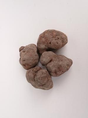 丹波篠山産 山の芋 5kg【等級:優】 - 田中正一商店-丹波篠山産