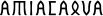 amiacalva