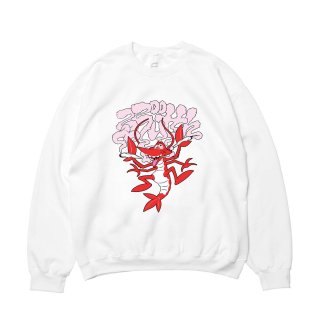 <img class='new_mark_img1' src='https://img.shop-pro.jp/img/new/icons55.gif' style='border:none;display:inline;margin:0px;padding:0px;width:auto;' />SUPER SHRIMP CREW NECK