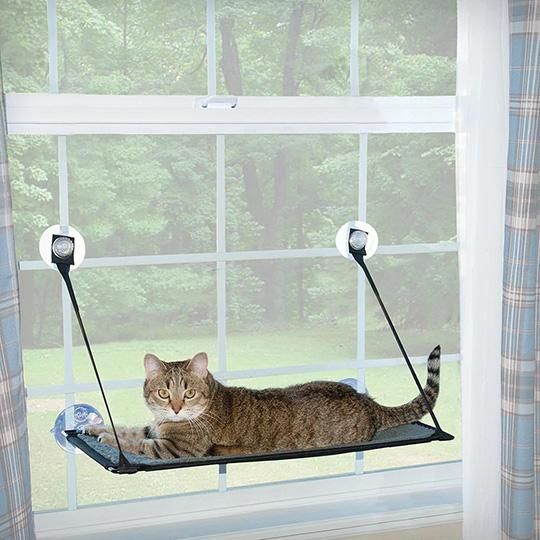 Ez ウィンドウベッド Neconciergeme 猫の館me Ez ウィンドウベッド Neconciergeme 猫の館me