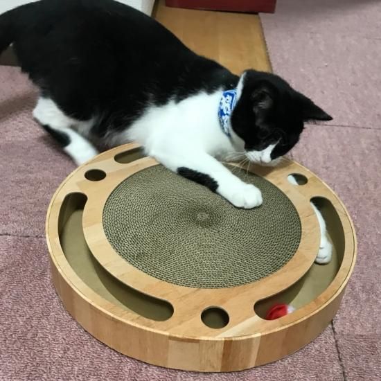 バリバリパッドコロコロボール Neconciergeme 猫の館me