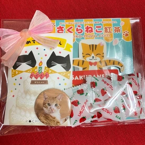 キャンディパック 紅茶 クッキー Neconciergeme 猫の館me