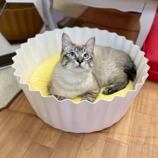 ピダン カップケーキ風ベッド Neconciergeme 猫の館me ピダン カップケーキ風ベッド Neconciergeme 猫の館me