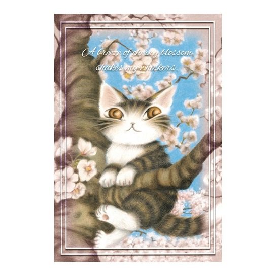 わちふぃーるど　猫のダヤン　ポストカード　桜色の風＝ neconciergeme 猫の館ME