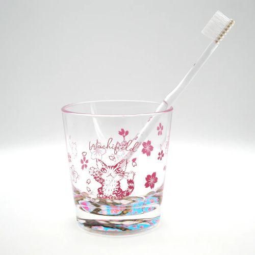 わちふぃーるど 猫のダヤン クリアタンブラー+歯ブラシセット 桜