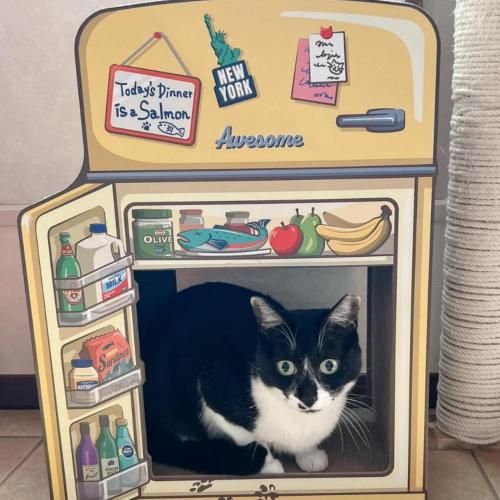 オーサムストア 冷蔵庫爪とぎ