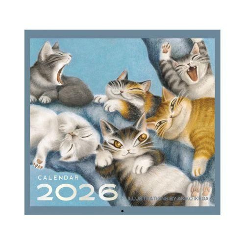 わちふぃーるど 4点セット わちふぃーるど 4点セット WachiField わちふぃー