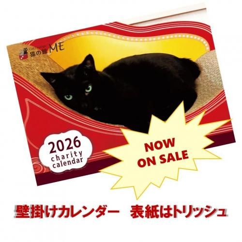 <img class='new_mark_img1' src='https://img.shop-pro.jp/img/new/icons13.gif' style='border:none;display:inline;margin:0px;padding:0px;width:auto;' />ǭδMEƥ2026ɳݤ//å