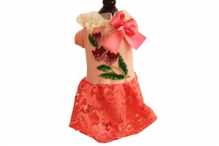 <20OFF>Dress lycar top and lace skirt with swarovski35IT-DOGS