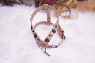 for pets only ☆フォーペッツオンリー ☆ 首輪⭐︎25センチ⭐︎ファー for pets only ☆フォーペッツオンリー ☆ 首輪⭐︎25センチ