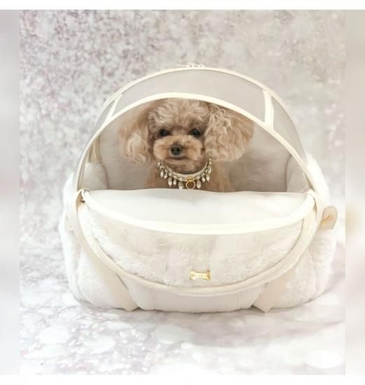Forpetsonly/フォーペッツオンリー/Sサイズ for pets only フォーペッツオンリー S