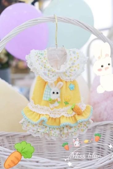 パピリーヒルズ　Miss blue pet 犬服 Miss Blue Pet - PUPPILY HILLS