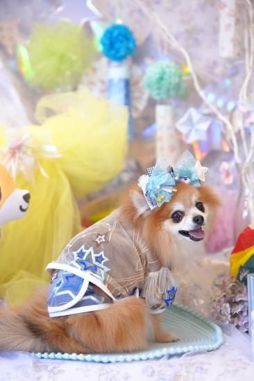 パピリーヒルズ　リュバンドール　ワンピース リュバンドール パピリーヒルズ ワンピース - メルカリ