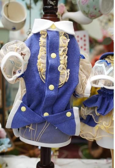 星の王子様【Rubandor】 - PUPPILY HILLS