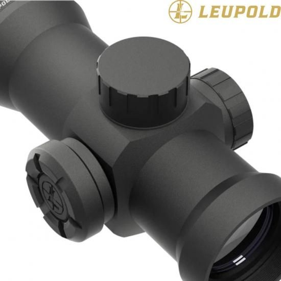 リューポルド Leupold RDS レッドドットサイト - ミリタリー