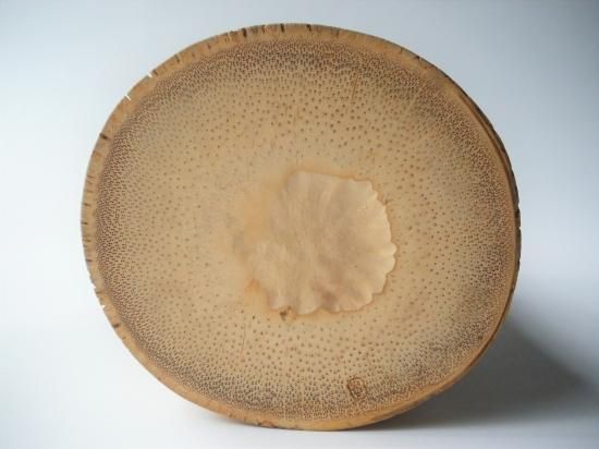 竹一重切　花入　宗玄作　銘　「松涛」 竹一重切 花入 宗玄作 銘 「松涛」 竹 一重切花入 (共箱)