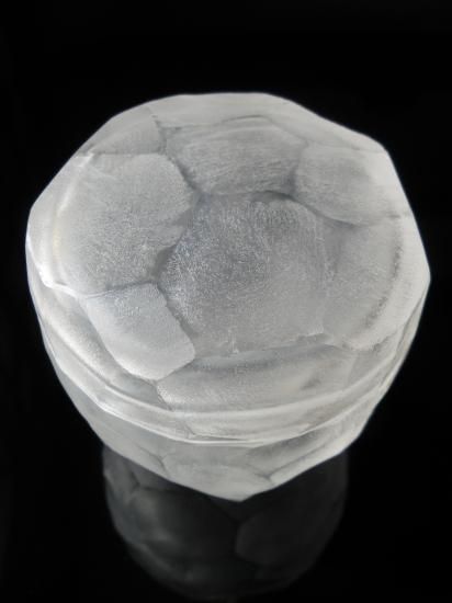 ガラス棗 氷点 (共箱)新倉晴比古 - 茶道具販売 栗林園 ガラス棗 氷点 (共箱)新倉晴比古 - 茶道具販売 栗林園