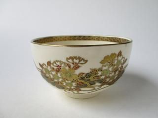 松林窯　眞花入　交趾 楽天市場】盆栽 真柏 入門種 樹齢6年 特撰 曲幹糸魚川真柏