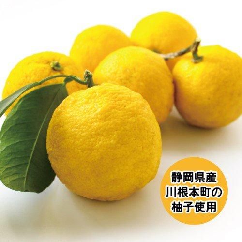 柚子羊羹5個箱入り - 株式会社 三浦製菓