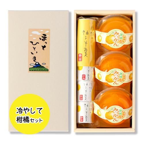 冷やして柑橘セット | 柚子羊羹と夏の甘酸っぱいみかんが入った