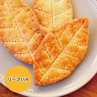 ñʡۥ꡼եѥץ졼