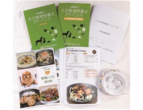 5月最後の3得キャンペーン 犬の管理栄養士アドバンス通信認定講座 全日本動物専門教育協会 Sae 講座 1dayセミナーのお申し込み 5月最後の3得キャンペーン 犬の管理栄養士アドバンス通信認定講座 全日本動物専門教育協会 Sae 講座 1dayセミナーのお申し込み