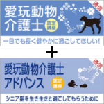 Υ˥ޥˤʤưʪΡܰưʪΥɥХƱ