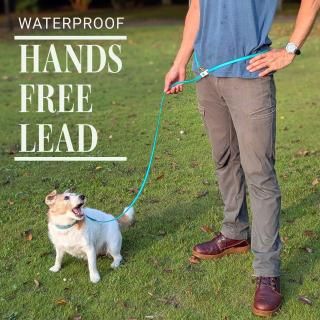 ɿϥ󥺥ե꡼꡼ɡʥ꡼ɡ¿Ƭ꡼ɡ