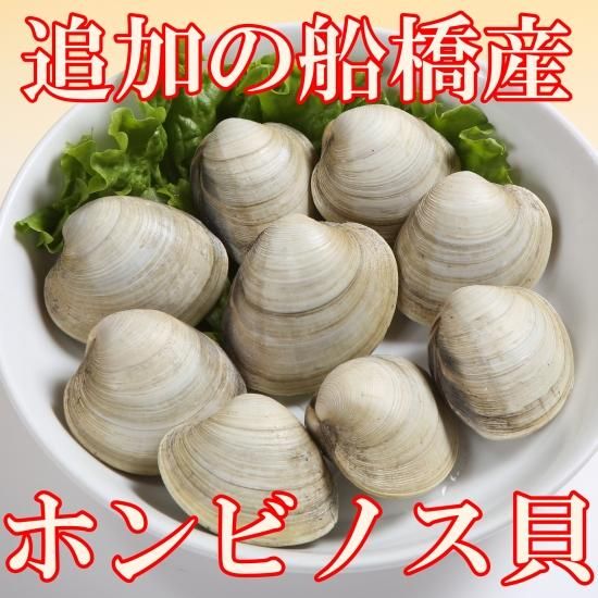 船橋の三番瀬でとれたホンビノス貝 千葉 船橋の会議弁当 仕出し弁当なら焼肉やまと 船橋の三番瀬でとれたホンビノス貝 千葉 船橋の会議弁当 仕出し弁当なら焼肉やまと