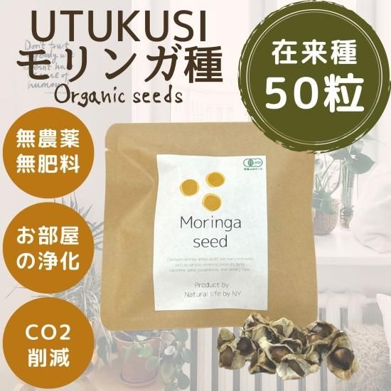 Natural farming モンテッソーリ玄米酵素 自然療法 腸脳相関 知育