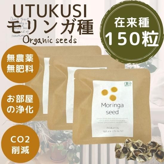 モリンガ種 150粒 在来種 無農薬 無肥料 ハーブ - Natural life