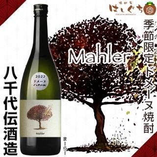 2023ǯȯʬ mahler ޡ顼 2022 ɥ᡼̾ 30 720ml Ȣ̵ Ȭ¤ ǯ  