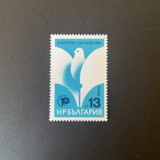 ֥륬ꥢڼꡦ1986ǯ͹ز