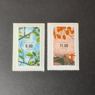 ǥޡڼꡦ2011ǯ衼åڼꡦӡ2˥ո