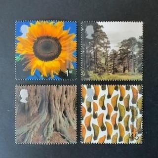 ꥹڼꡦ2000ǯǯ20ڤա4