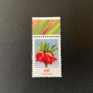 ɥĤڼꡦ2013ǯڼꡦ