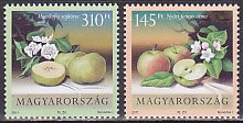 ハンガリー・果物・２０１１（２）