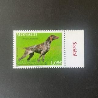ʥڼꡦ2015ǯݥɥå祦