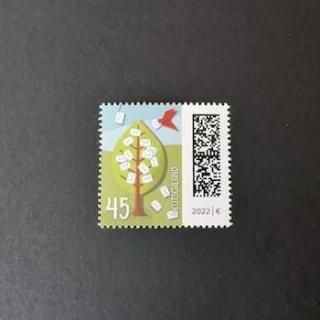 ɥĤڼꡦ2022ǯ