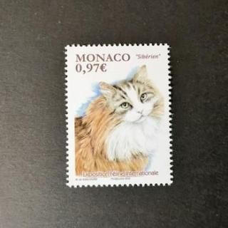 ʥڼꡦ2020ǯݥåȥ祦