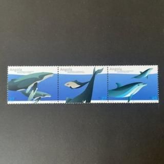 󥴥ڼꡦ2004ǯӮ3