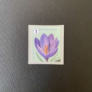 ベルギーの切手・クロッカス・２０１６（セルフ糊）