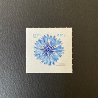 エストニアの切手・ヤグルマギク・２０２１（セルフ糊）